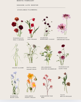 12 Month Color and Seasonal Floral Guide