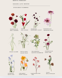 12 Month Color and Seasonal Floral Guide